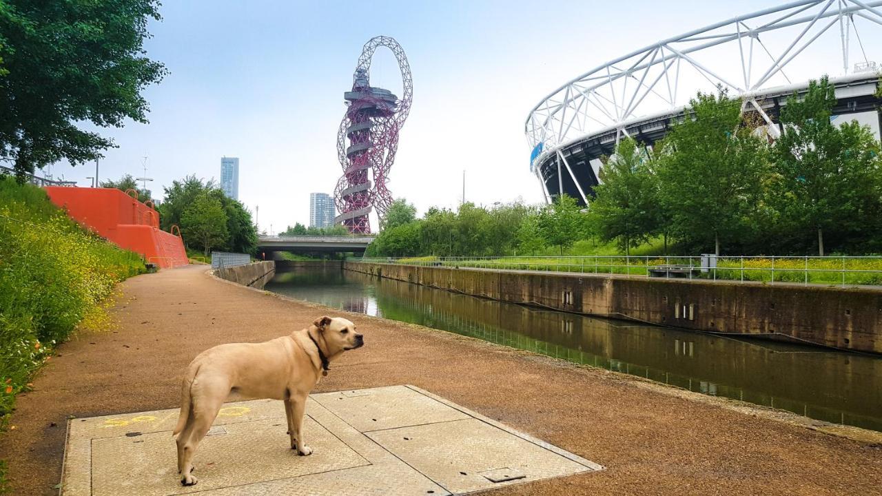 Beautiful Central Home For 6 Near Olympic Park And Abba Theatre Londra Exterior foto